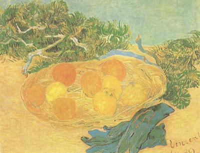 Vincent Van Gogh Still life:Oranges,Lomons and Blue Gloves (nn04) oil painting picture